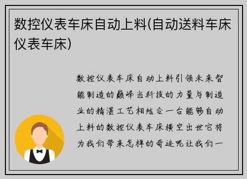 数控仪表车床自动上料(自动送料车床仪表车床)